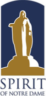 Spirit campaign logo/Development